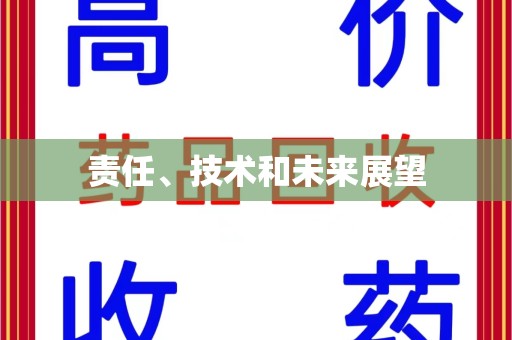 上饶责任、技术和未来展望