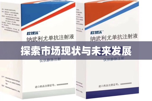 上饶探索市场现状与未来发展