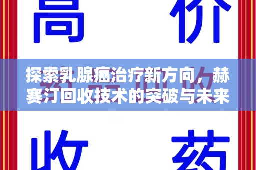 上饶探索乳腺癌治疗新方向，赫赛汀回收技术的突破与未来