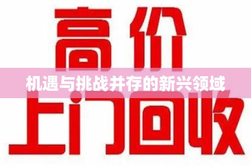 上饶机遇与挑战并存的新兴领域