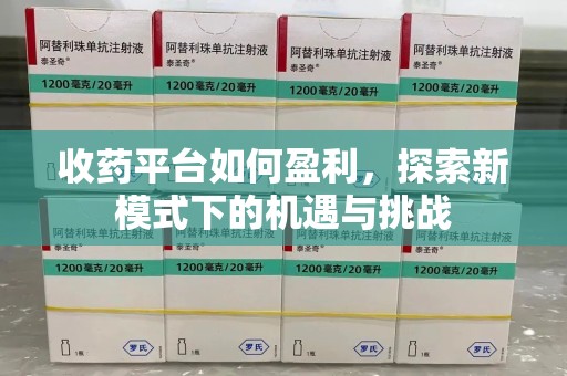 上饶收药平台如何盈利，探索新模式下的机遇与挑战