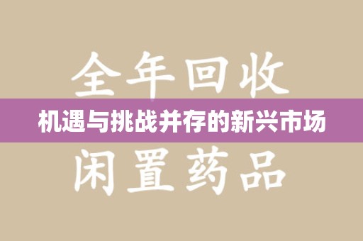上饶机遇与挑战并存的新兴市场